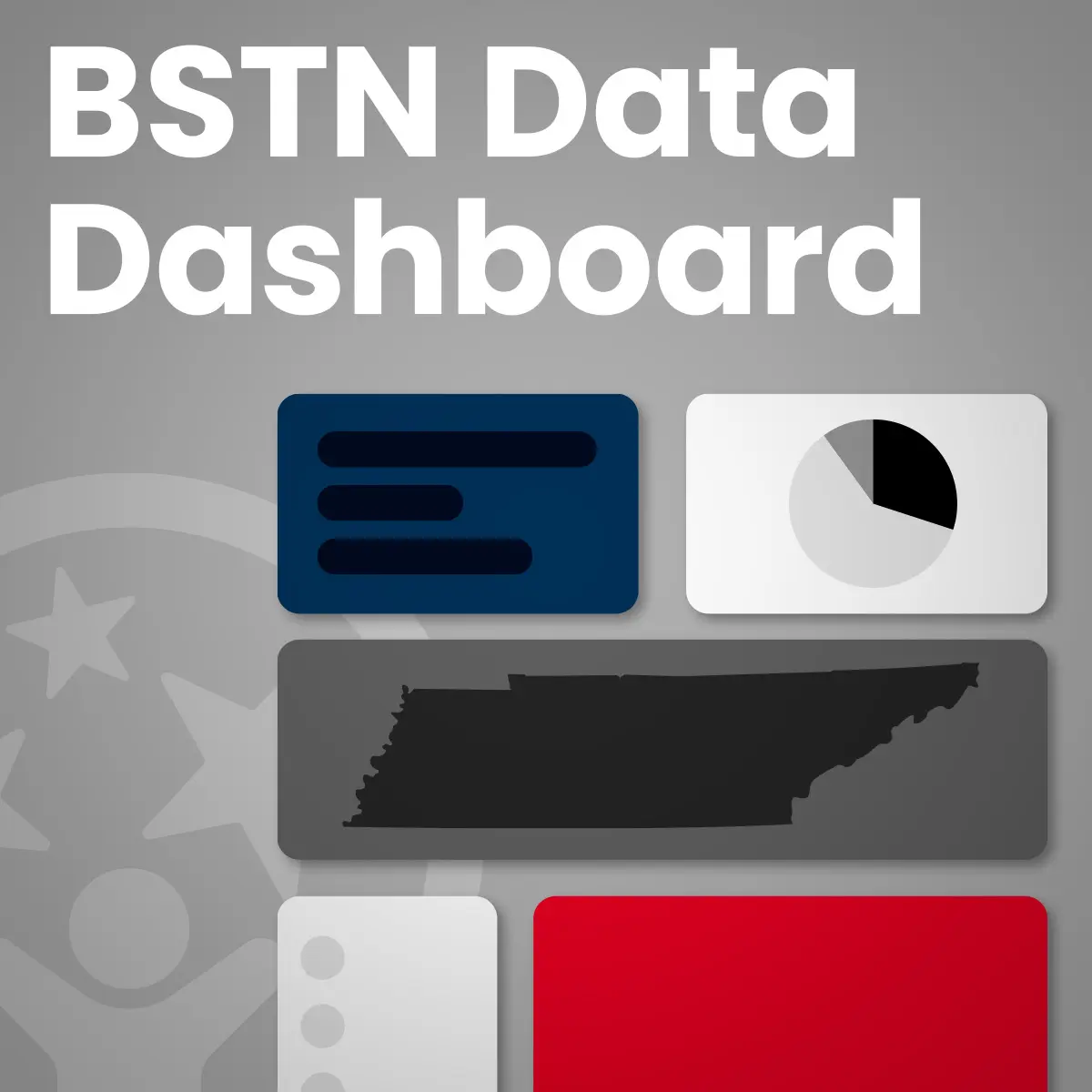 BSTN Data Dashboard